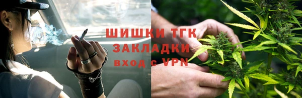 гидра Чердынь