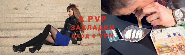 стаф Надым
