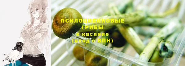 винт Михайлов