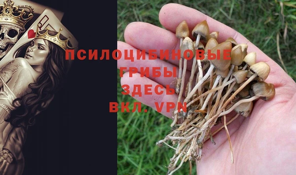 МДПВ Навашино