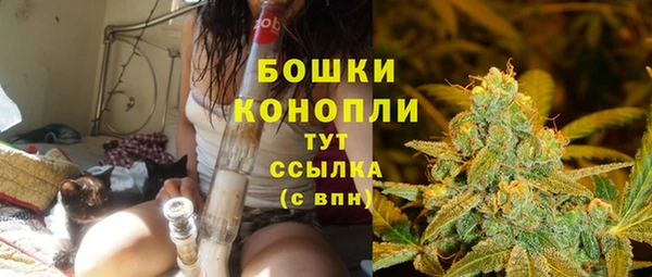 МДПВ Навашино
