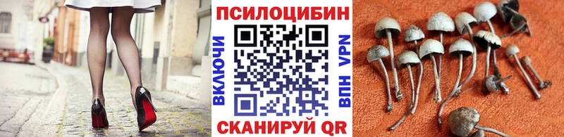 blacksprut вход  Иннополис  Псилоцибиновые грибы GOLDEN TEACHER 